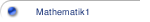 Mathematik1